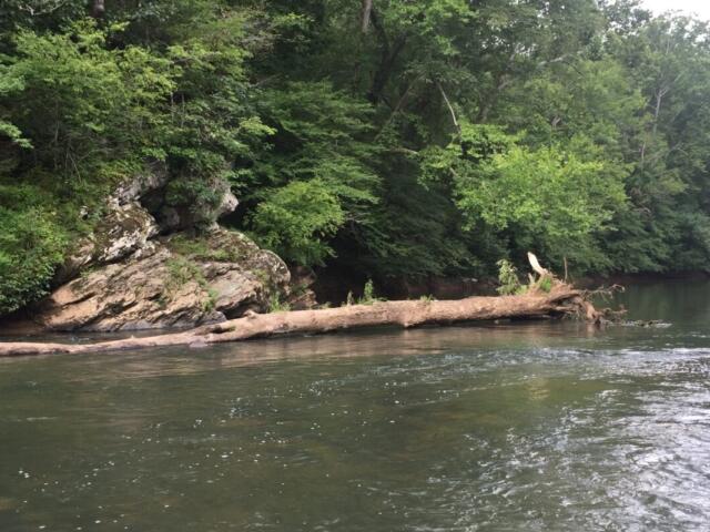 Rivanna River