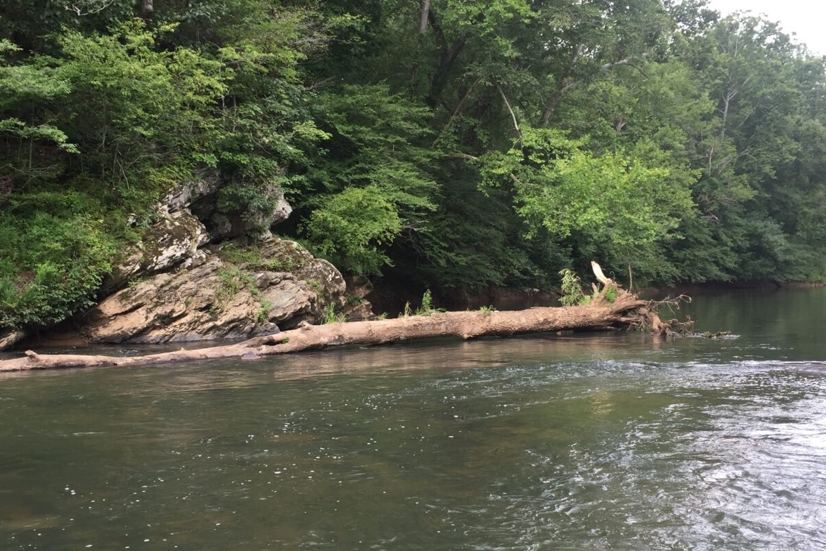 Rivanna River