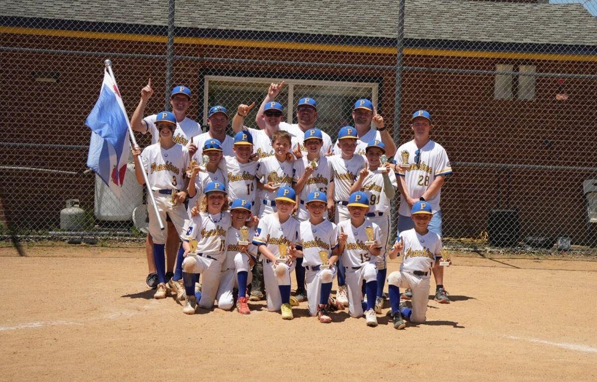 Peachtree 10U All-Stars