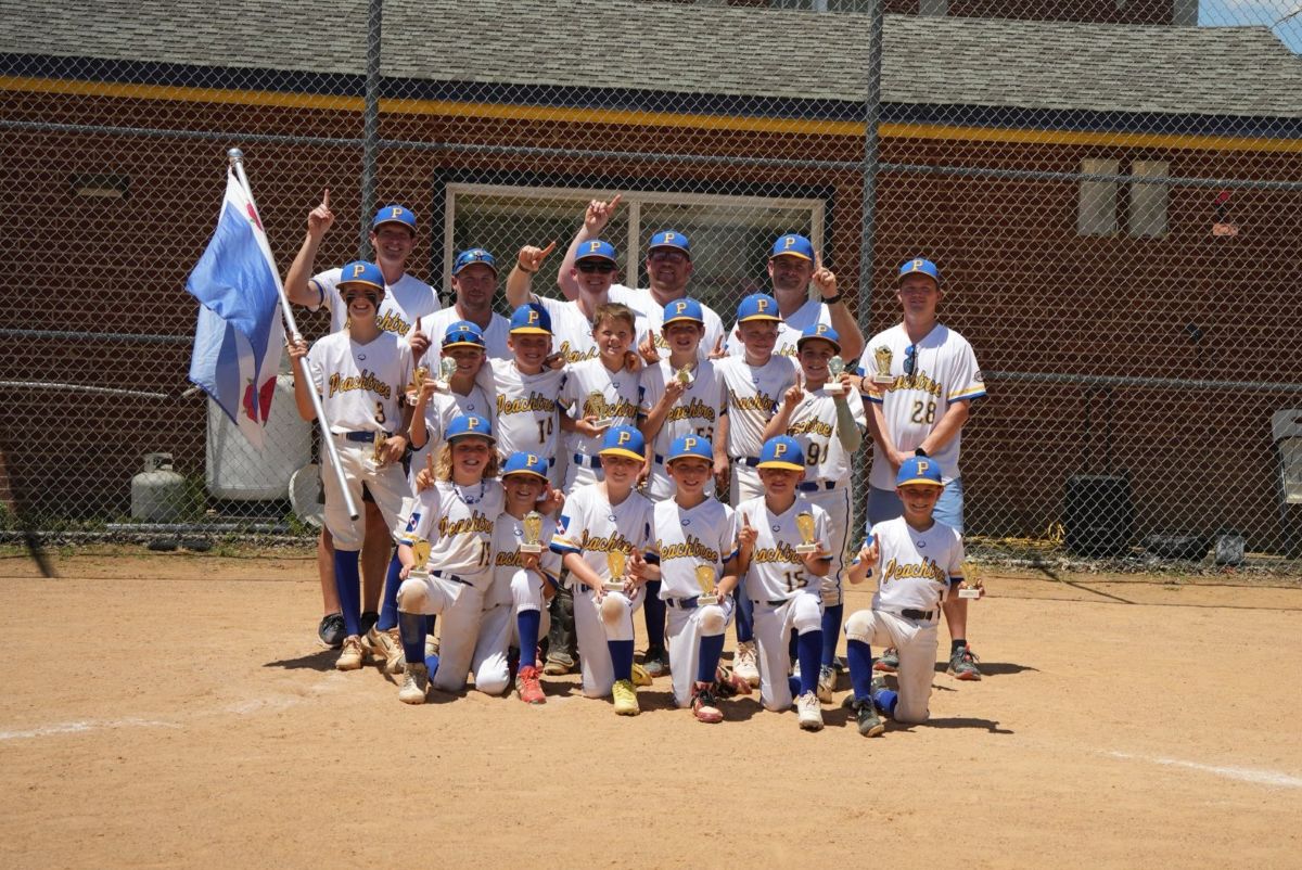 Peachtree 10U All-Stars