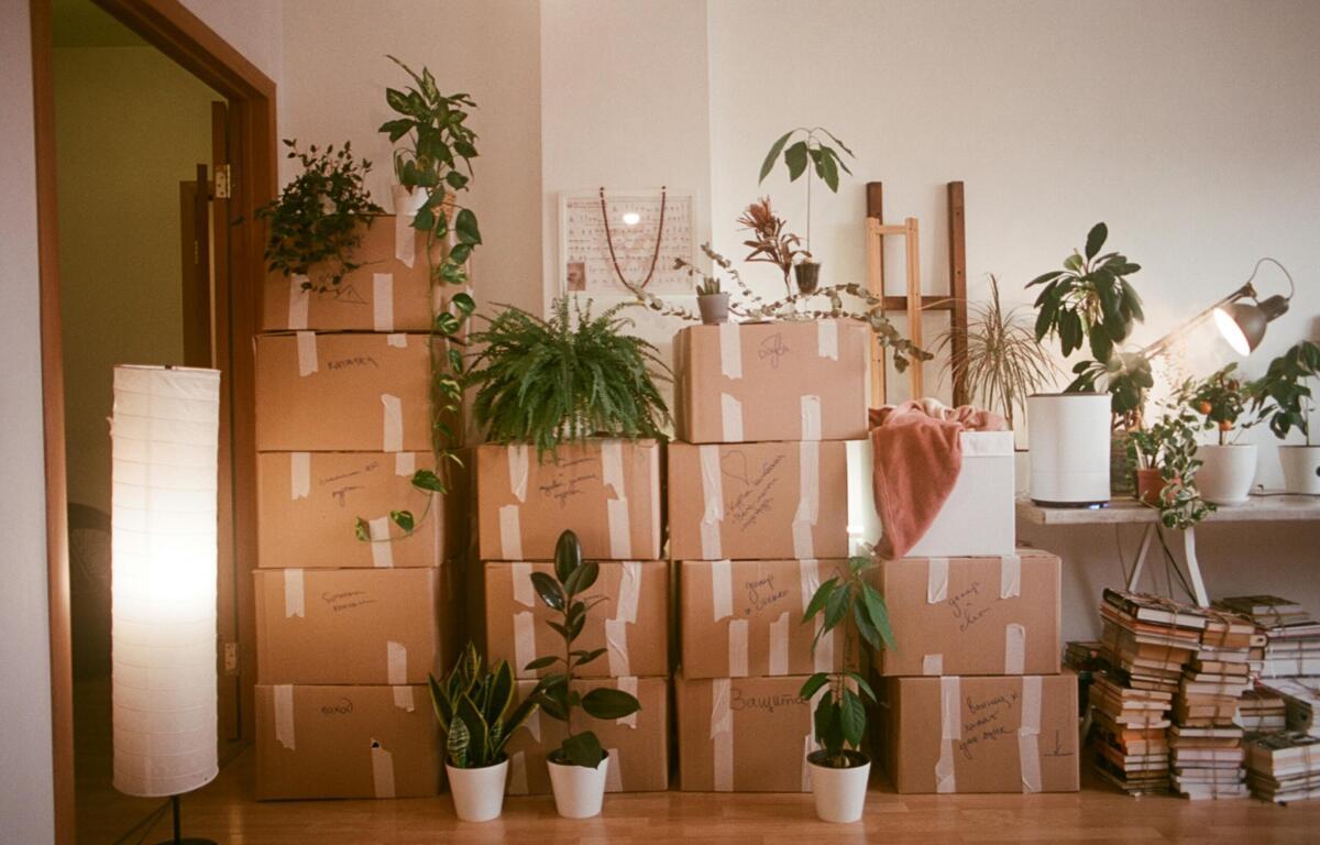 moving boxes stacked on top of each other