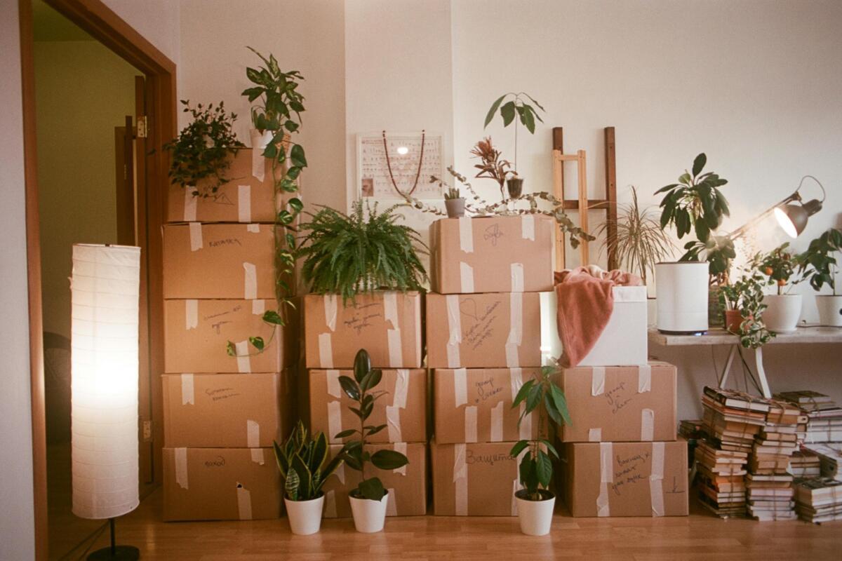 moving boxes stacked on top of each other
