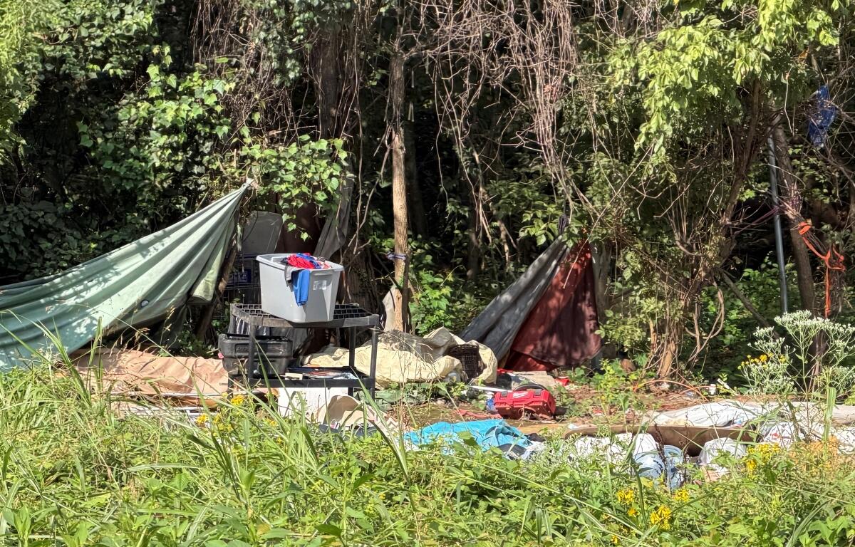 Free Bridge encampment