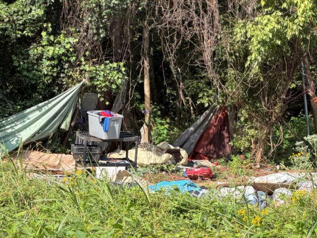 Free Bridge encampment
