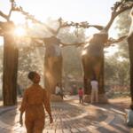 baobab tree artist rendering