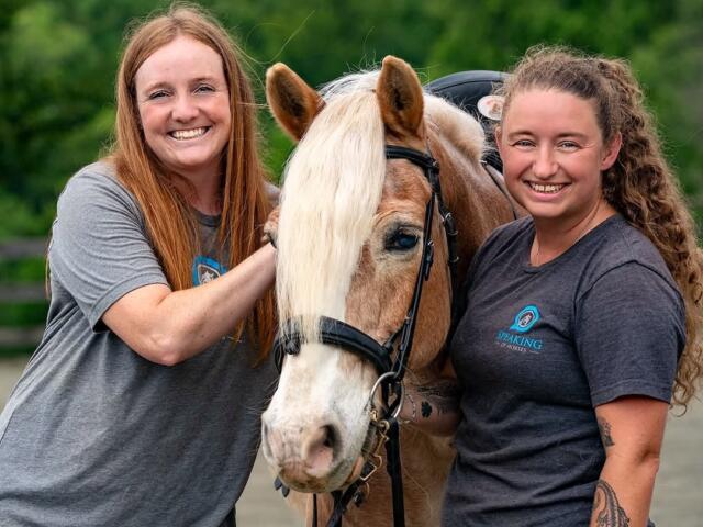 Speaking of Horses
