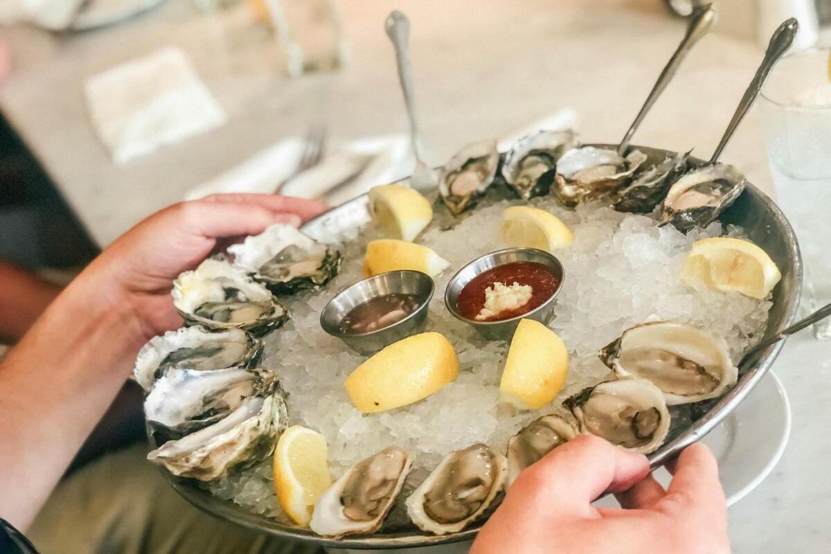 raw oysters